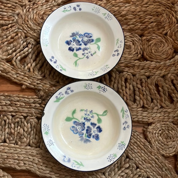 April Cornell Distress Floral White Enamel Basin Bowl w/Blue Rim set of 2 - Picture 1 of 7